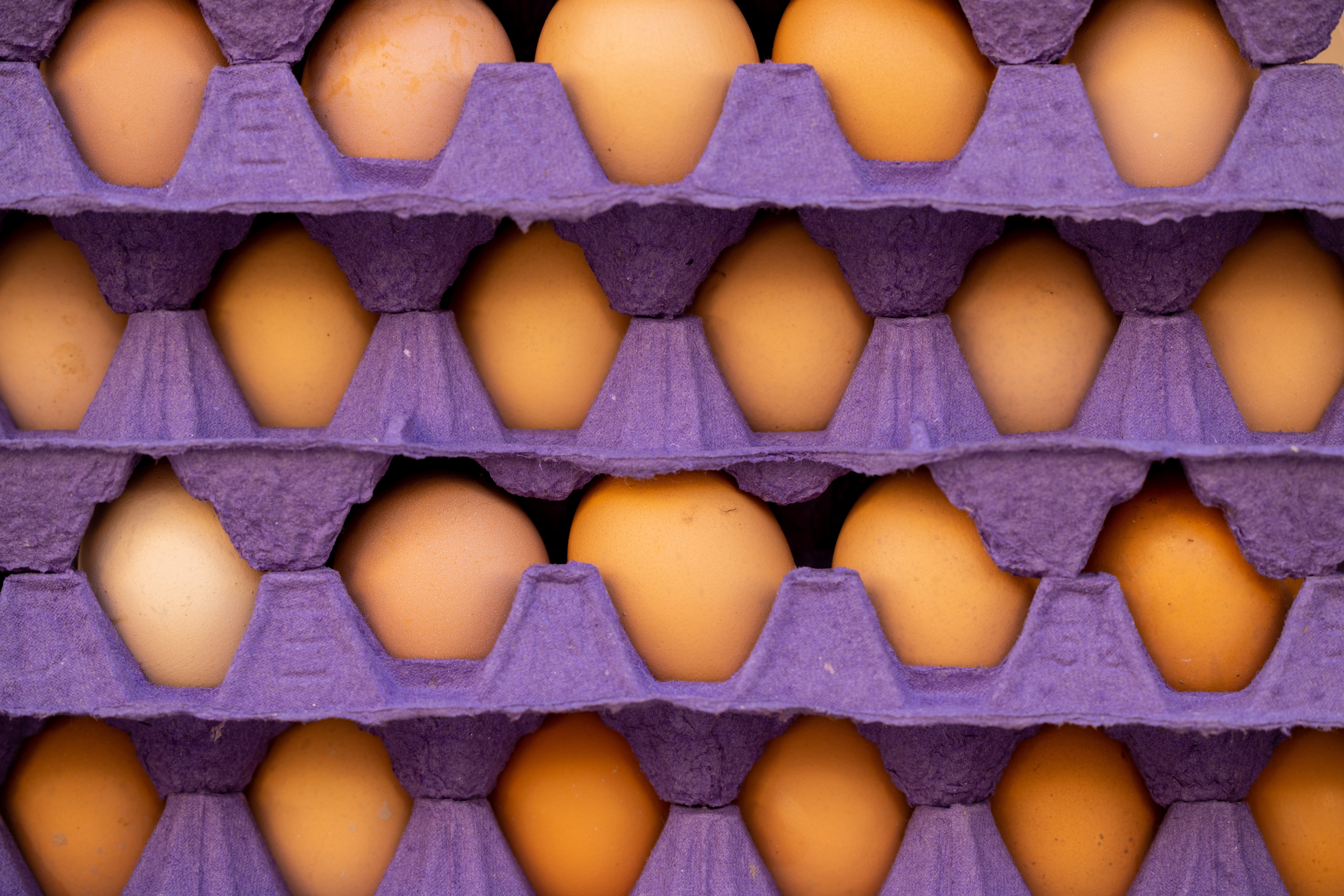 A stack of cardboard trays containing eggs