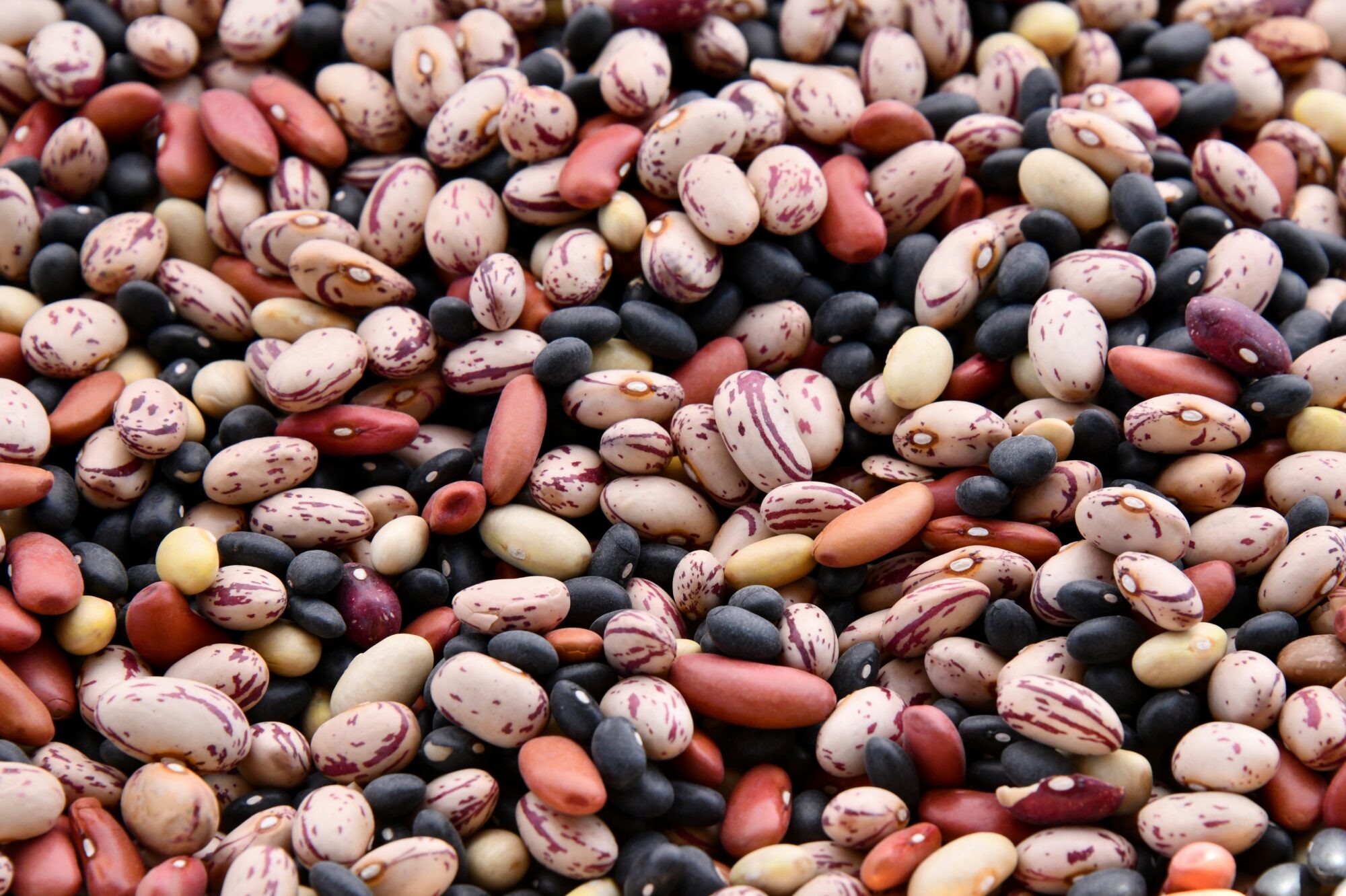 A variety of colourful dried beans